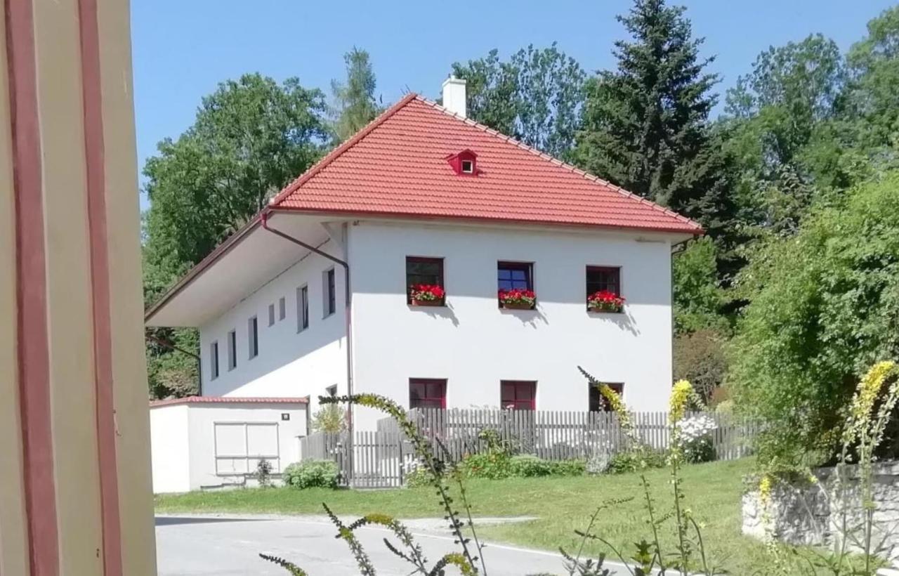 Ubytovani Praschlhaus Horní Planá Kültér fotó
