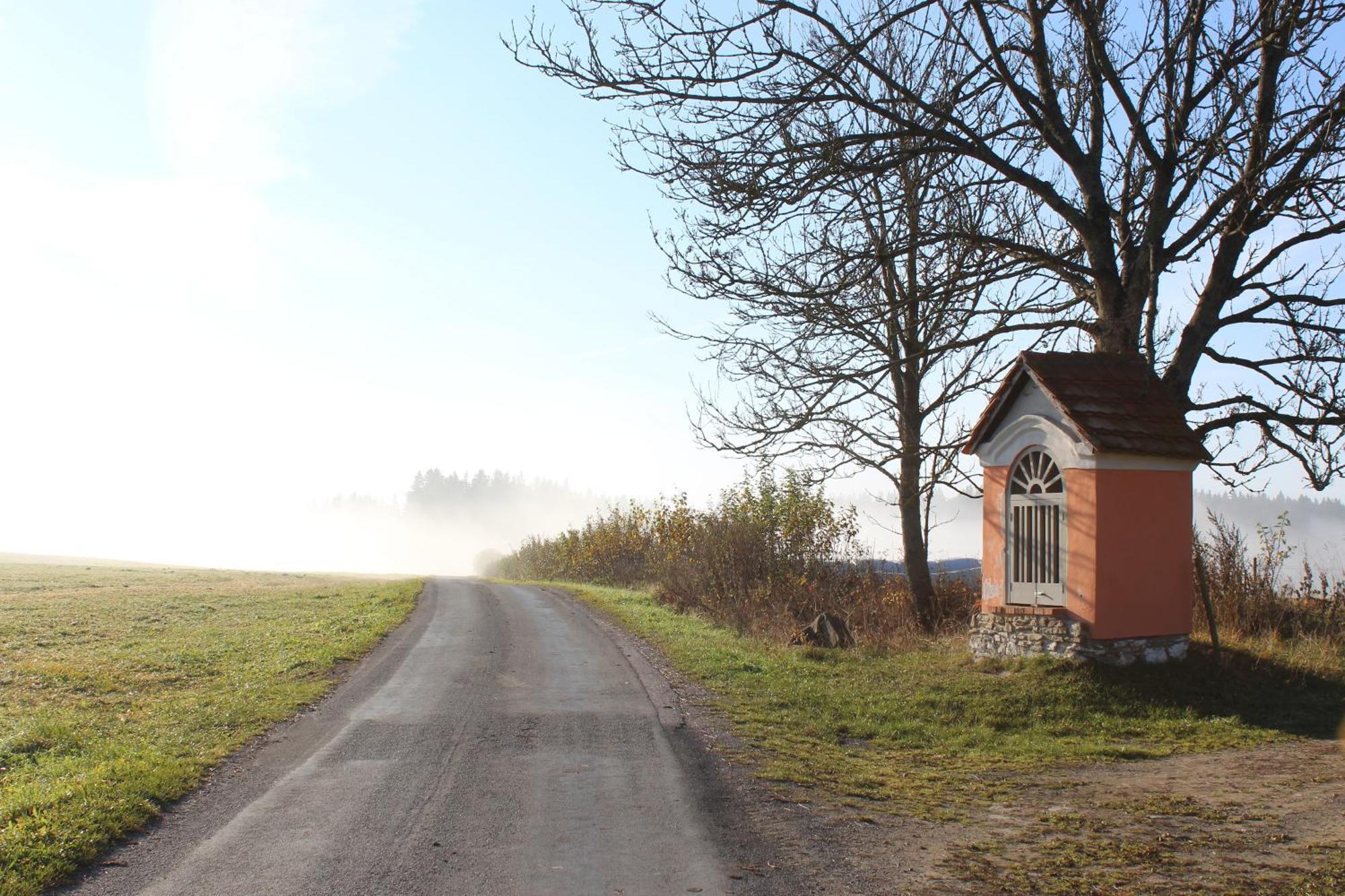 Ubytovani Praschlhaus Horní Planá Kültér fotó